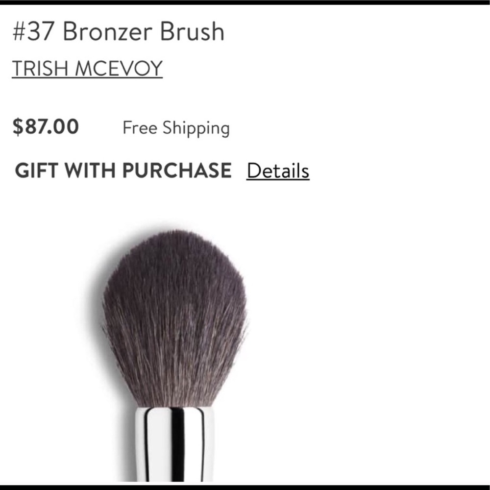 Trish McEvoy Brush #37